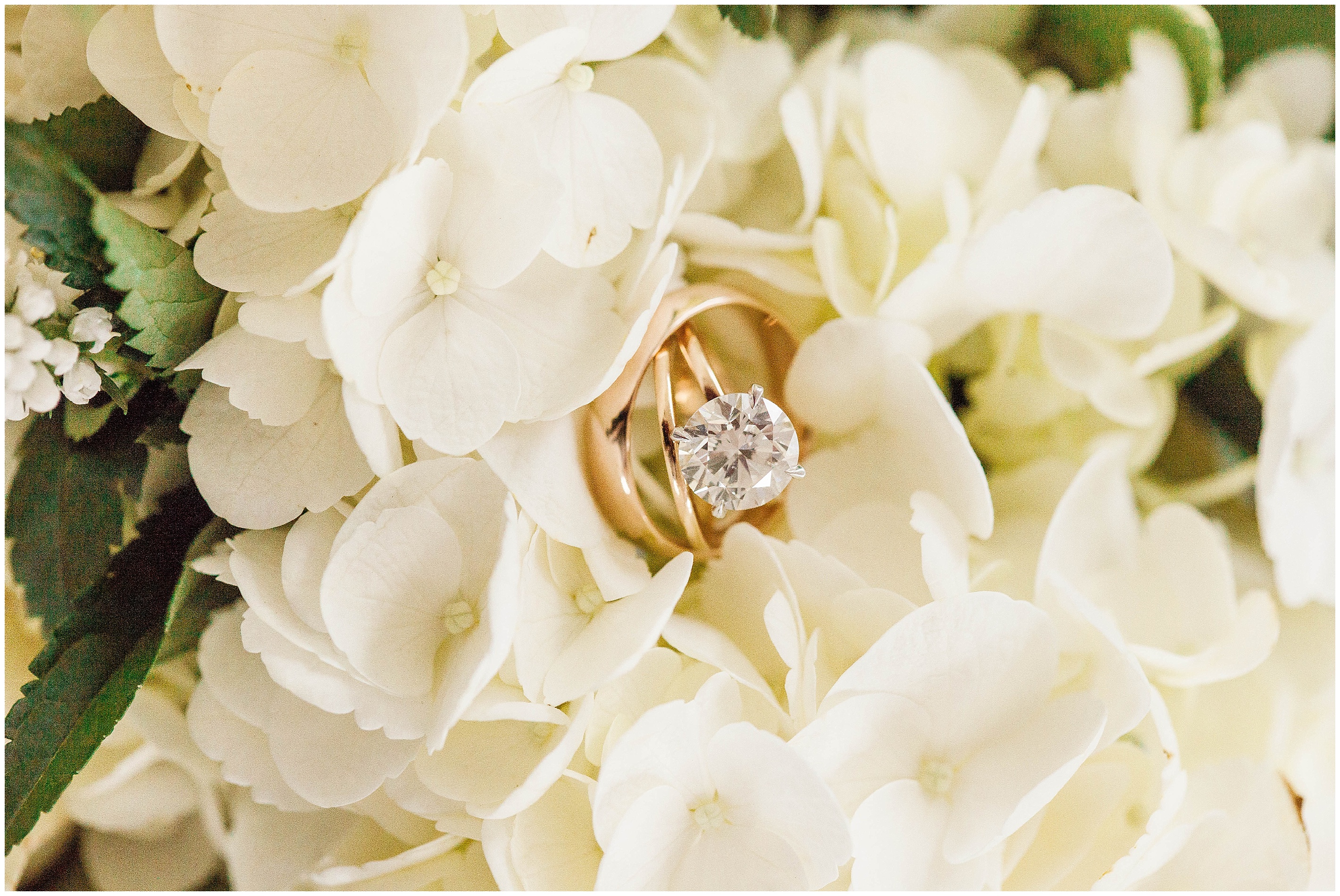 Blush & Green Classic Rose Hill NC Wedding Ring Photo