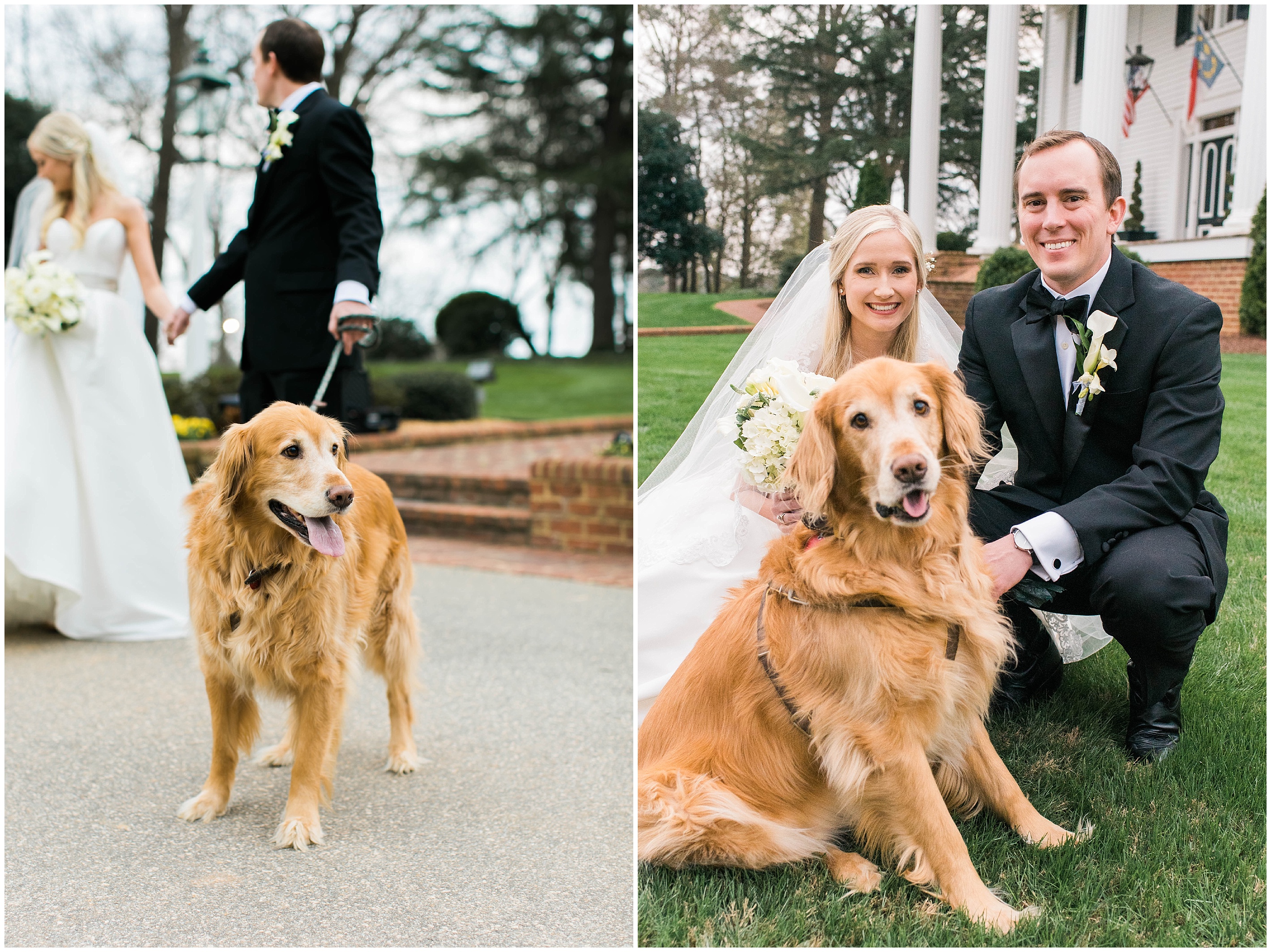 Blush & Green Classic Rose Hill NC Wedding Dog with Bride and Groom