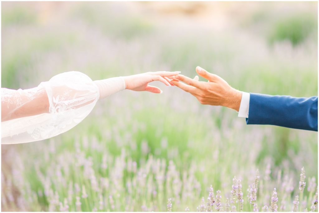 Couple holding hands in a lavender field