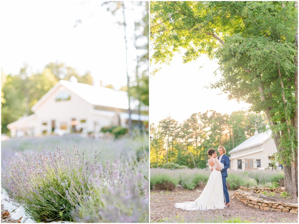 Sunset wedding portraits at Lavender Oaks Farm